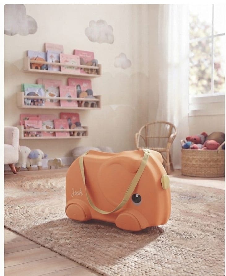 Kids Elephant Toy Storage Suitcase – whatsapp image 08 05 at 4.09.40 pm