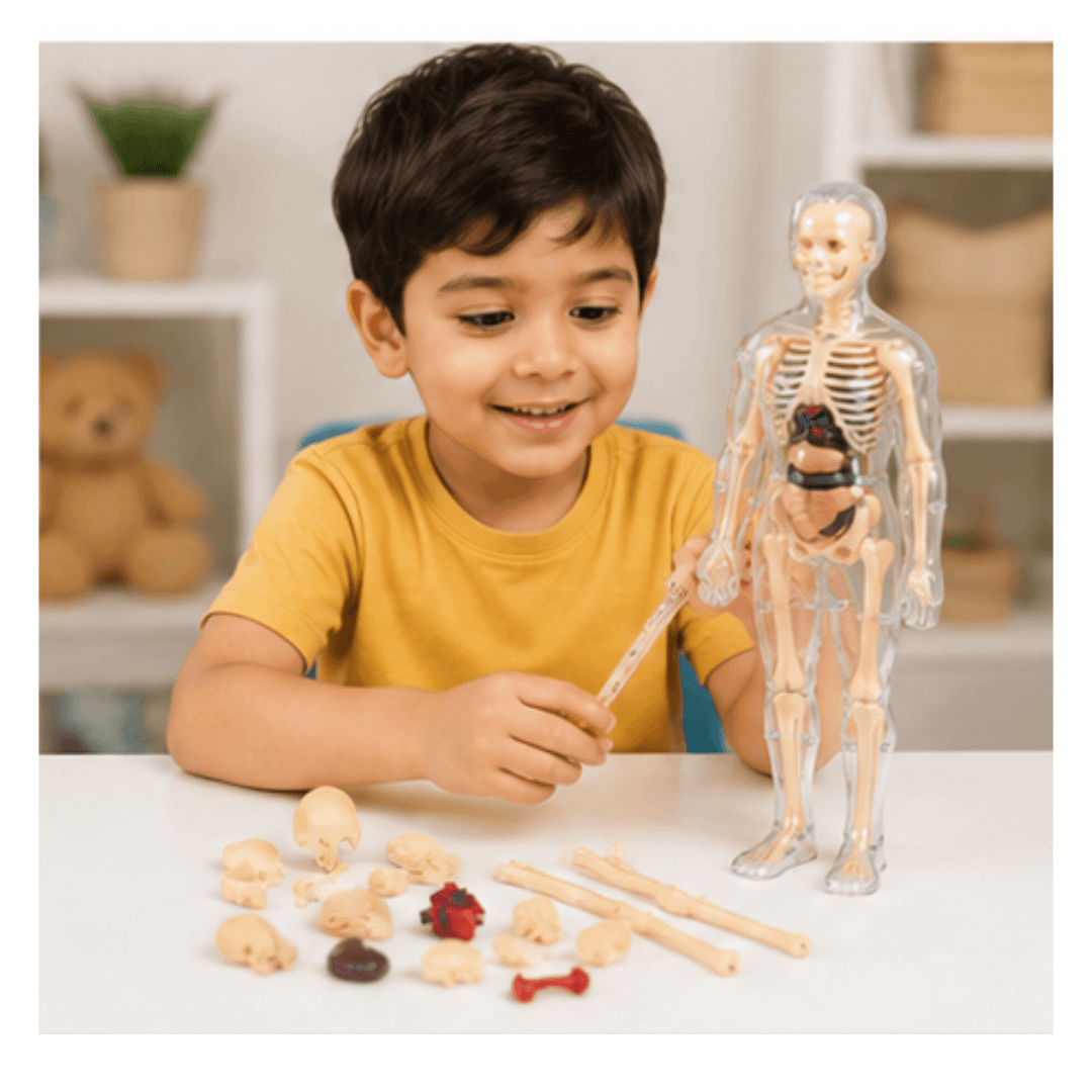 Human Body DIY Learning Set – untitled august 01 at 11.17.22 08 06t102747.365
