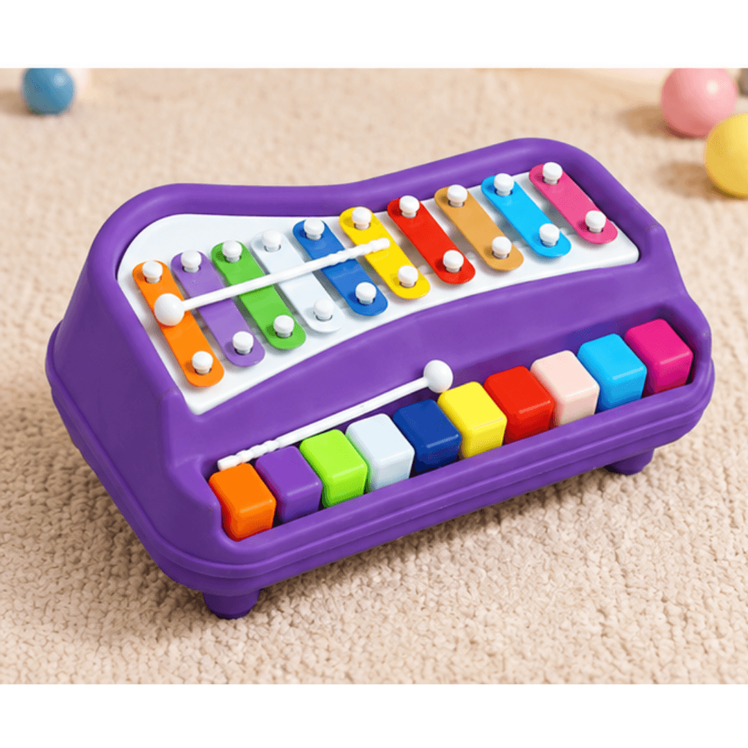10-Key Piano Style Xylophone for Kids – untitled august 01 at 11.17.22 08 06t181315.614