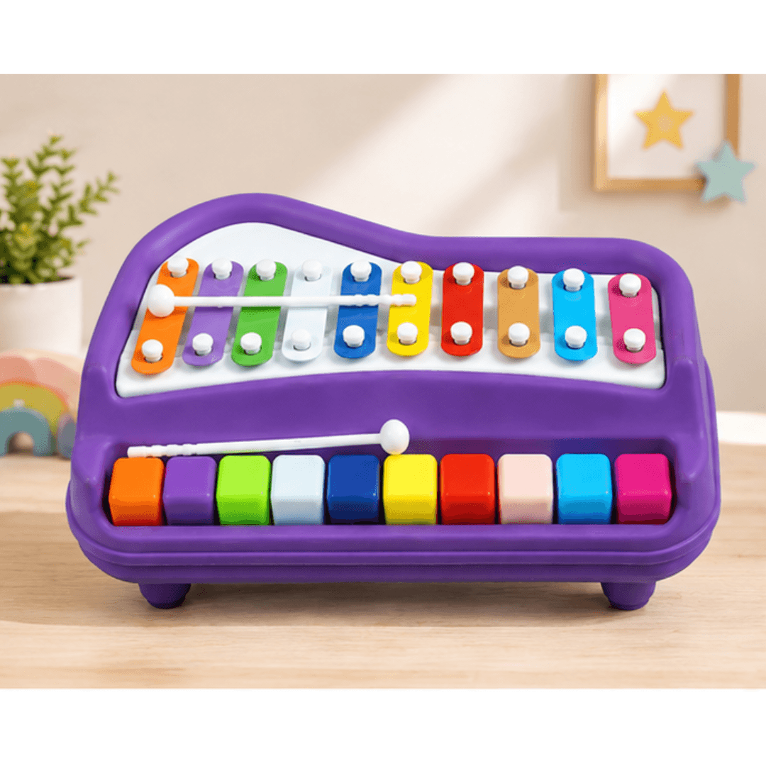 10-Key Piano Style Xylophone for Kids – untitled august 01 at 11.17.22 08 06t181613.300