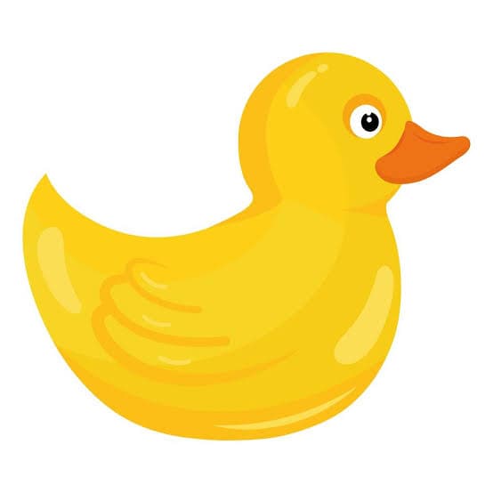 Duckbaby
